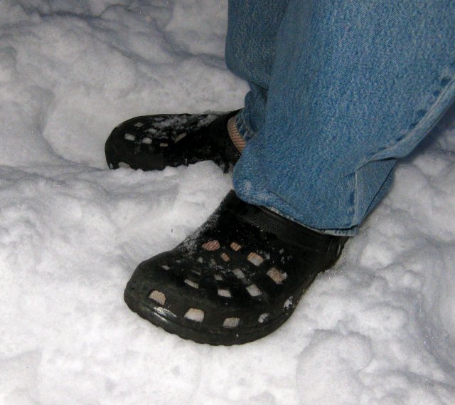 Bob's Socks and Crocs in the Snow